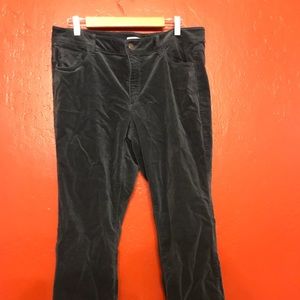 LOFT dark blue corduroy curvy bootcut pants - 16